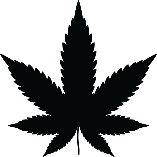 Лист марихуаны Cannabis