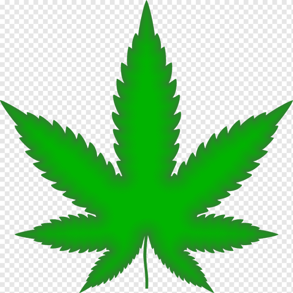 Тату конопляный лист эскиз