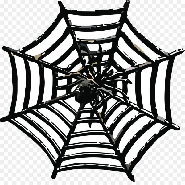 Паутина без фона