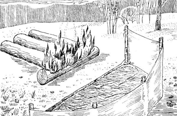 Тип костра Таежный