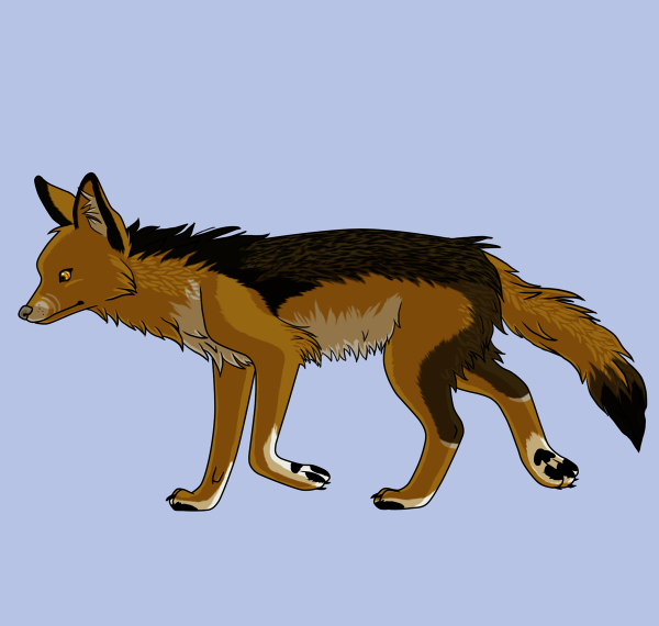 Шакал персонаж