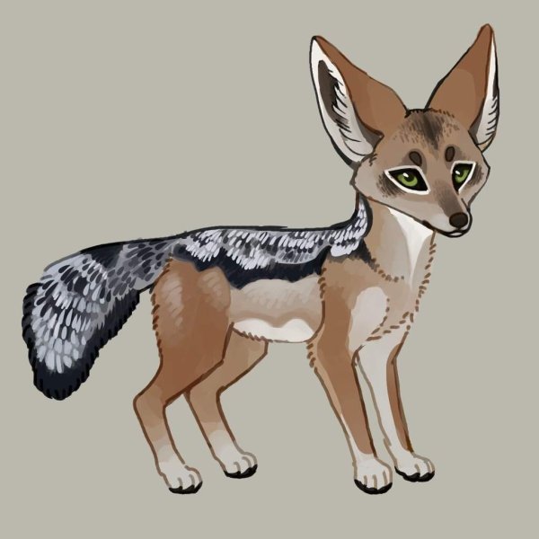 Шакал акварель