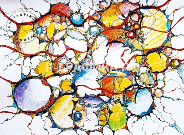 Песков Нейрографика