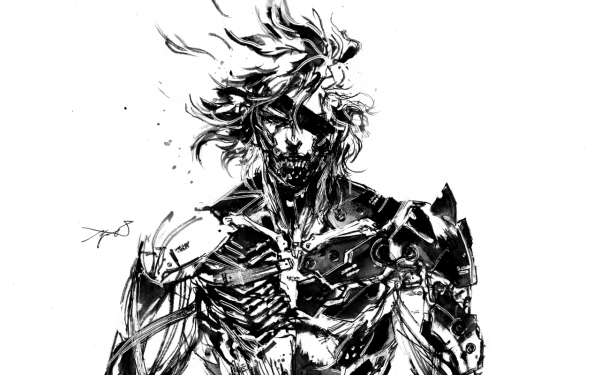 Metal Gear Rising: Revengeance