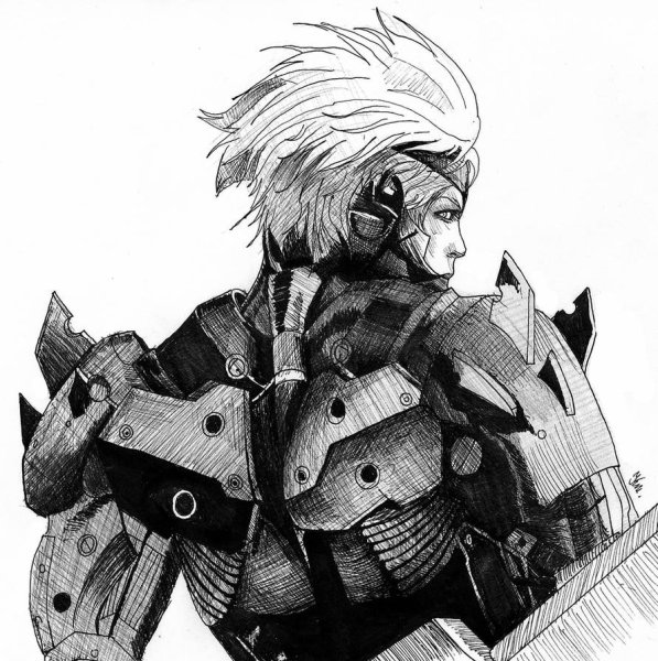 Raiden Metal Gear