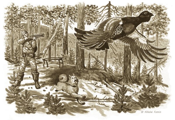 Линогравюра токующего глухаря