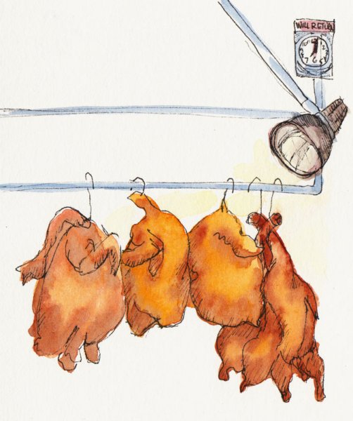 Нарисованная и дичи в мультике