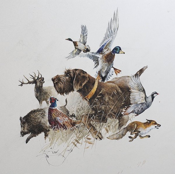 Охота иллюстрации