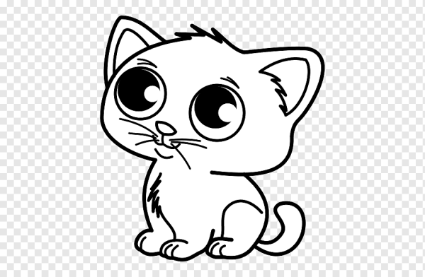 Раскраска киса