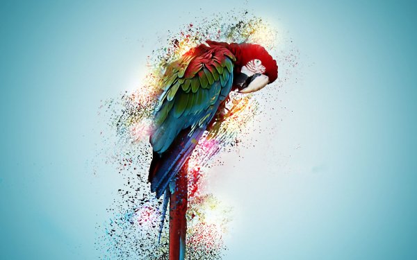 Креативные обои