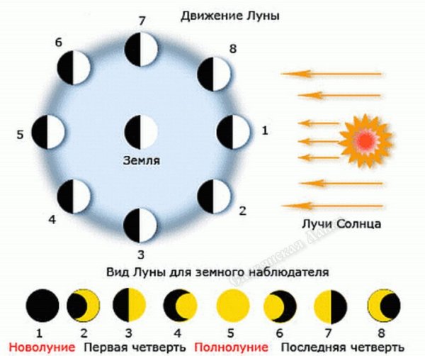Что такое фазы Луны нарисуйте схему