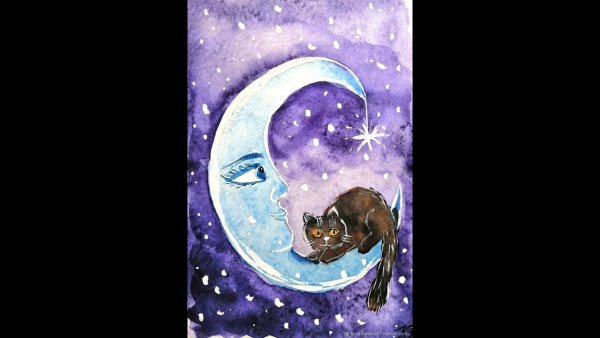 Весёлое новолуние