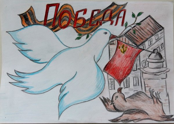 Голубь Победы рисунок