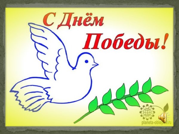 День Победы голуби