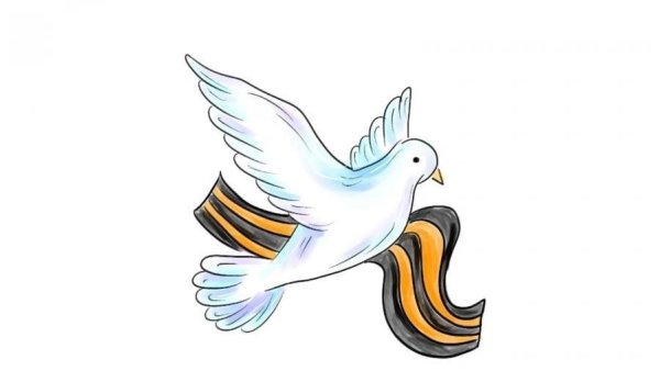 Голубь с георгиевской лентой