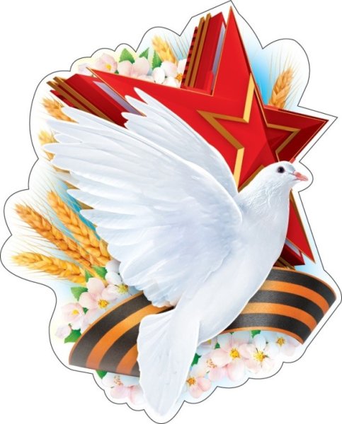 Голубь с георгиевской лентой