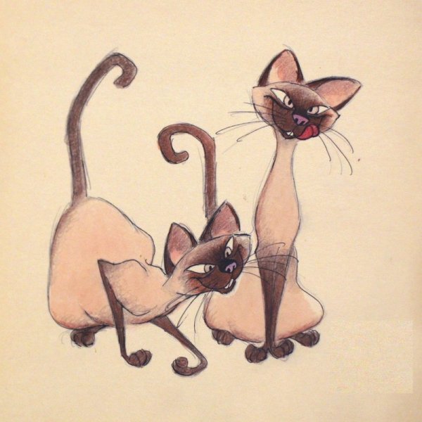 Сиамская кошка рисунок