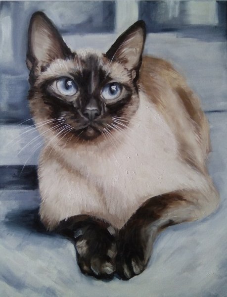 Сиамская кошка живопись