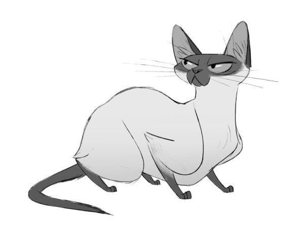 Нарисовать сиамскую кошку