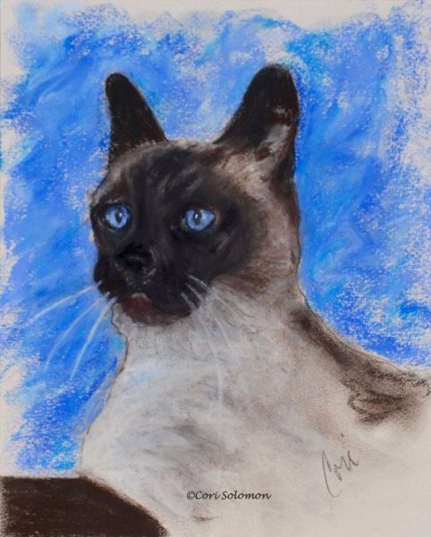 Сиамская кошка