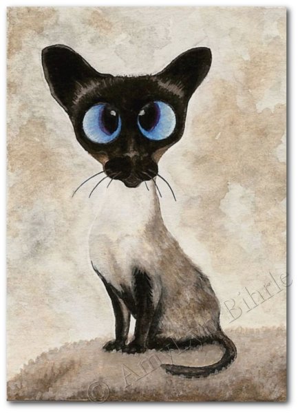 Черный сиамский кот