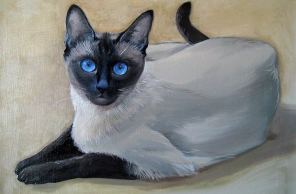 Алан Албегов художник