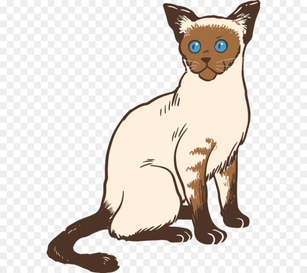 Сиамская кошка