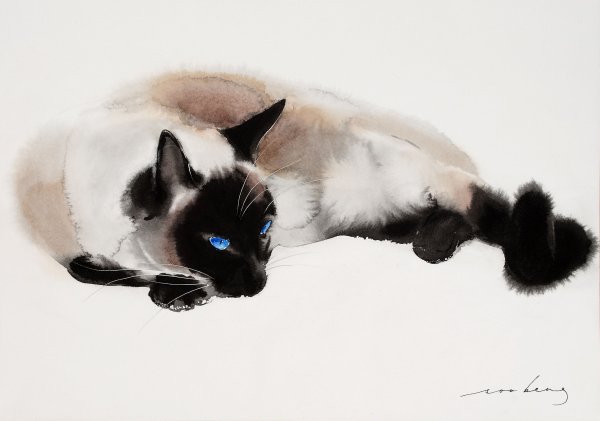 Сиамский кот арт