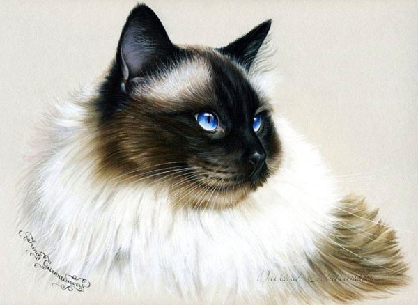 Ирина Гармашева художница