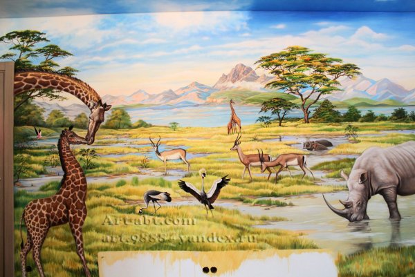 Африка пустыня Саванна джунгли