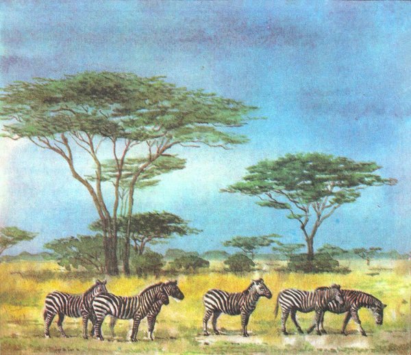 Африканский пейзаж для детей
