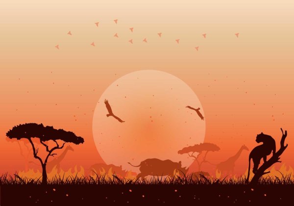 Африка закат вектор