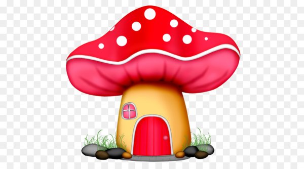 Разноцветные домик гриб на прозрачном фоне