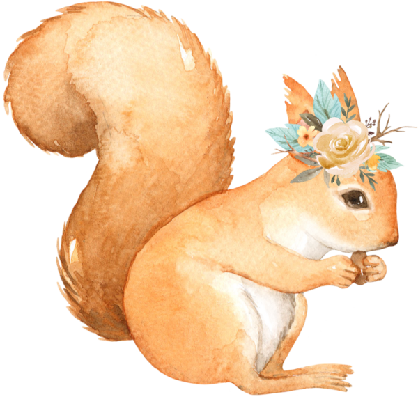 Белочка рисунок
