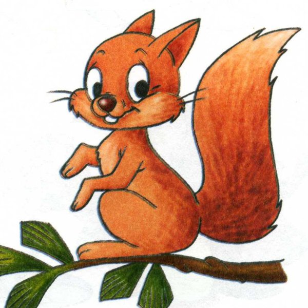 Белка картинка для детей