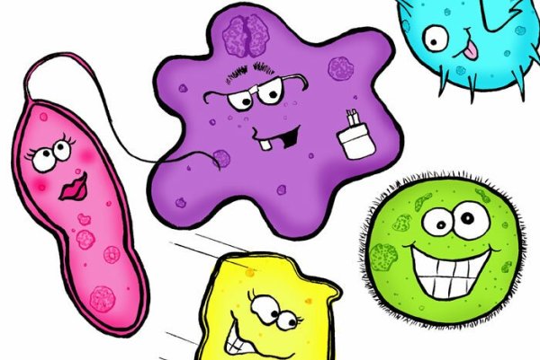 Полезные микробы для детей