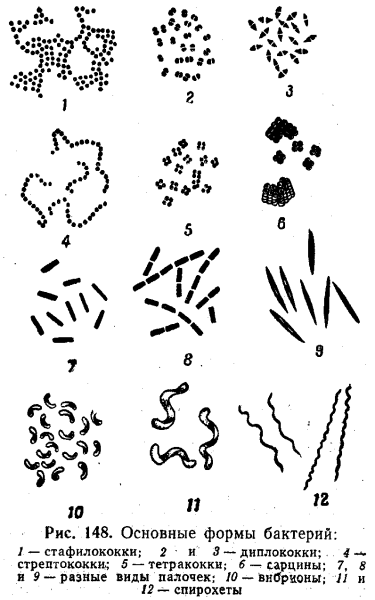 Микробы мультяшные