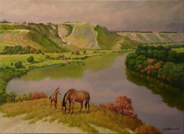 Донская степь Дон река