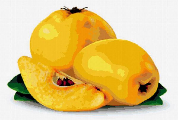 Айва на прозрачном фоне