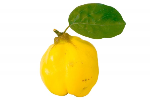 Айва на прозрачном фоне