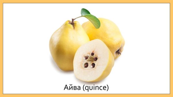 Айва на белом фоне