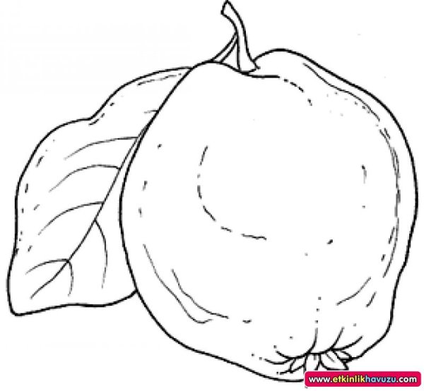 Акйва раскраски для детей