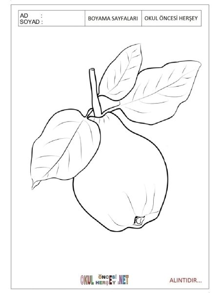 Акйва раскраски для детей