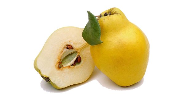 Яблоко айва