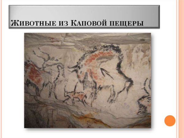 Древние рисунки в пещере Шульган Таш