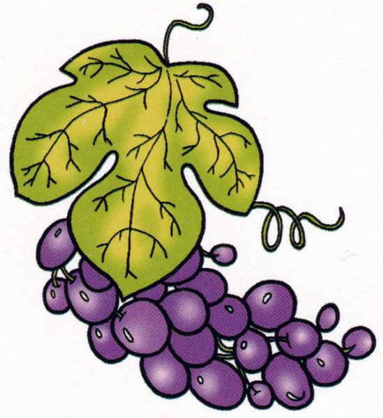 Гроздь винограда рисунок