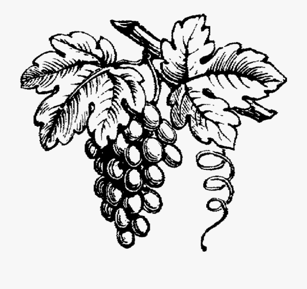 Пластилинография ветка винограда