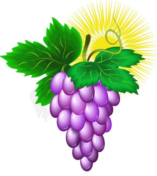 Виноград пейнт