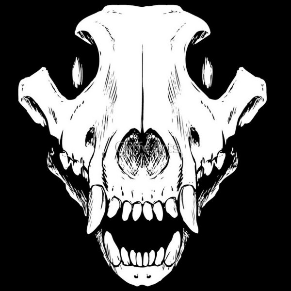 Череп с открытой пастью