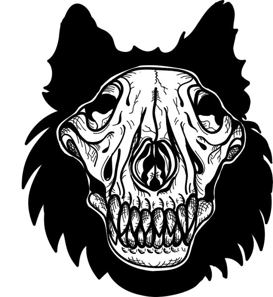 Череп волка сбоку